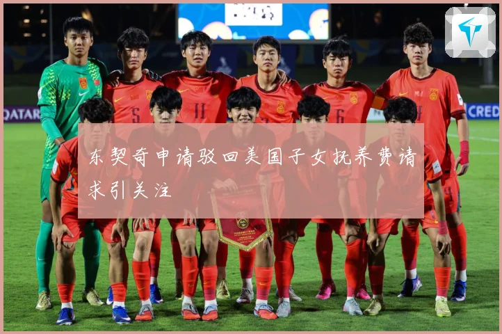 东契奇申请驳回美国子女抚养费请求引关注
