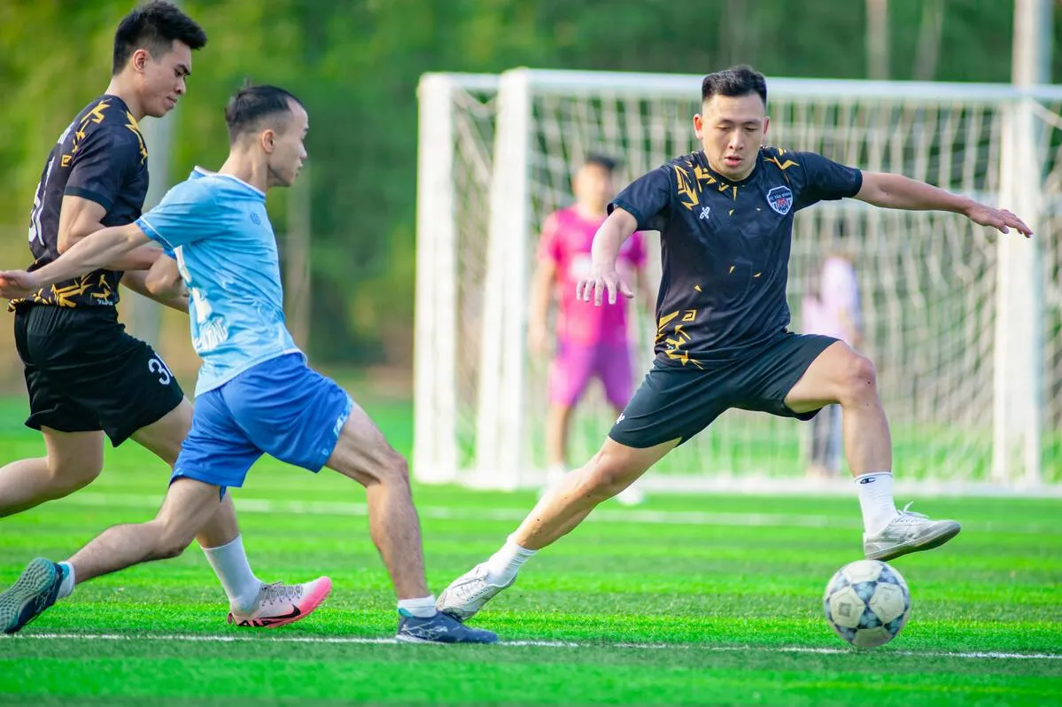 开云娱乐深度解析:引领数字娱乐创新潮流与未来发展趋势