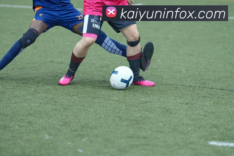 开云平台展示图